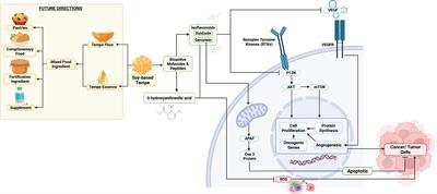 Anticancer properties of soy-based tempe: A proposed opinion for future meal